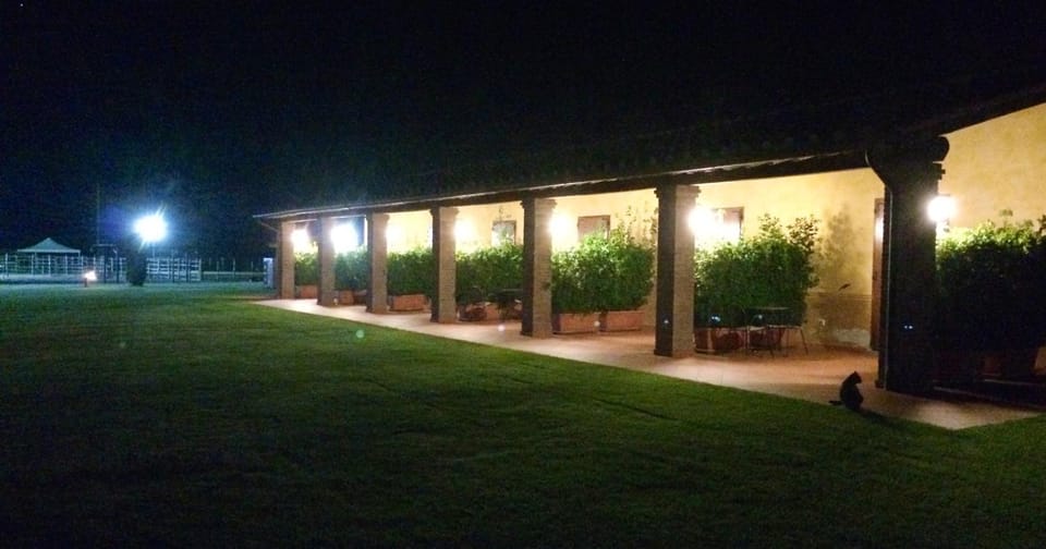 Patio, Balcony/Terrace