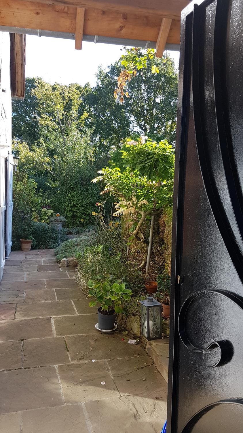 Garden view