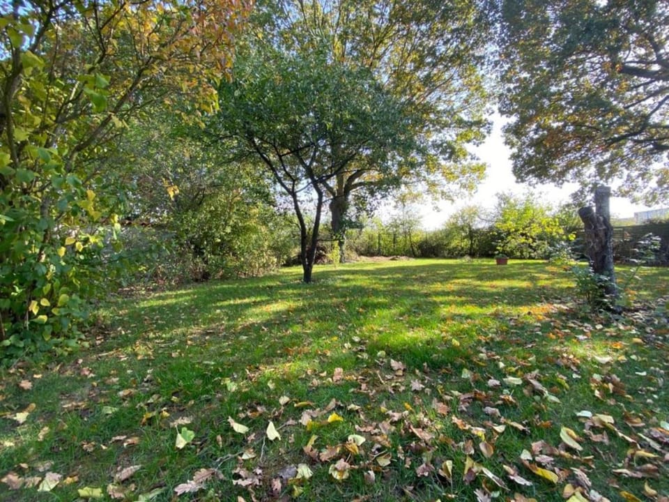 Natural landscape, Garden
