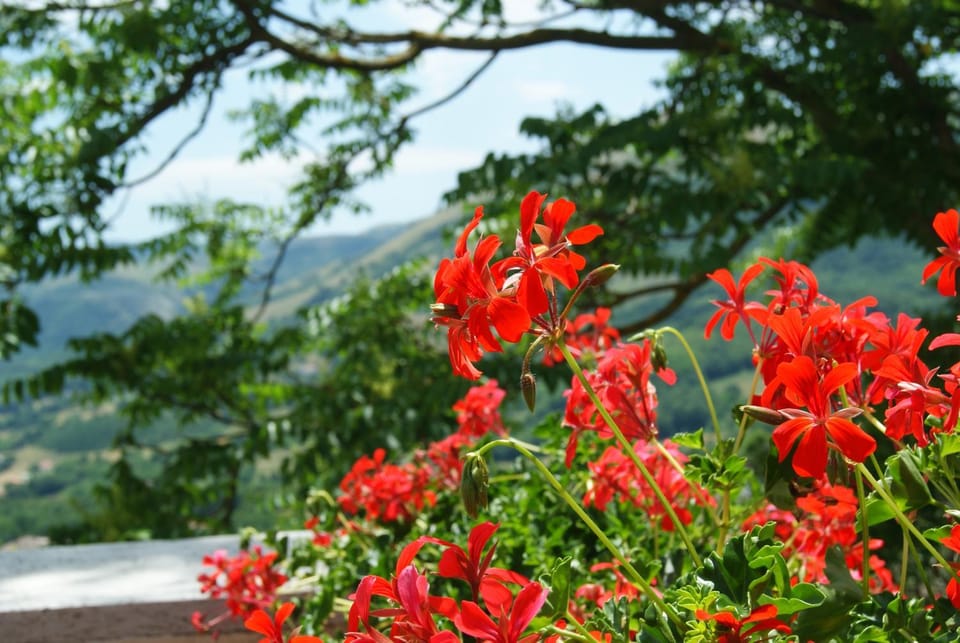 B&B IL QUERCETO Bed and Breakfast in Basilicata