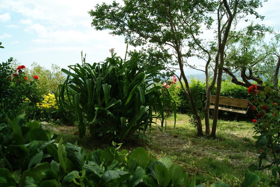 B&B IL QUERCETO Bed and Breakfast in Basilicata