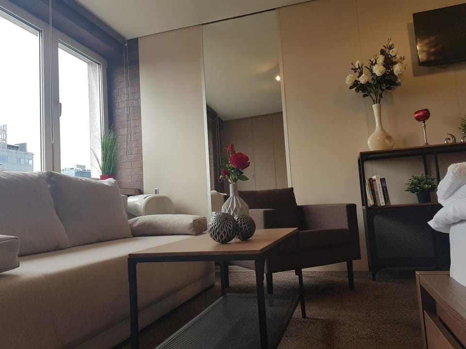 TV and multimedia, Living room, Seating area, air conditioner, air conditioner
