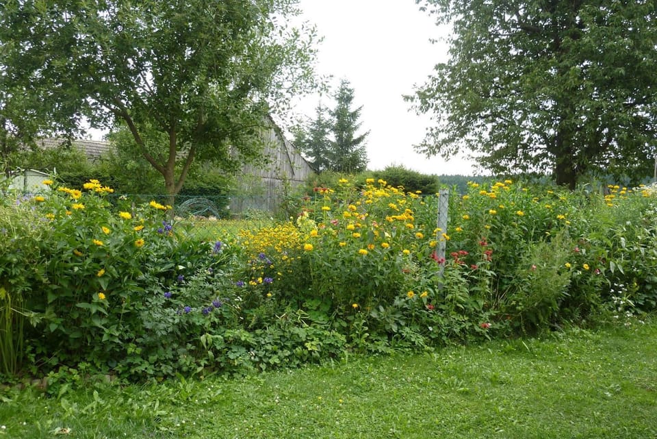 Natural landscape