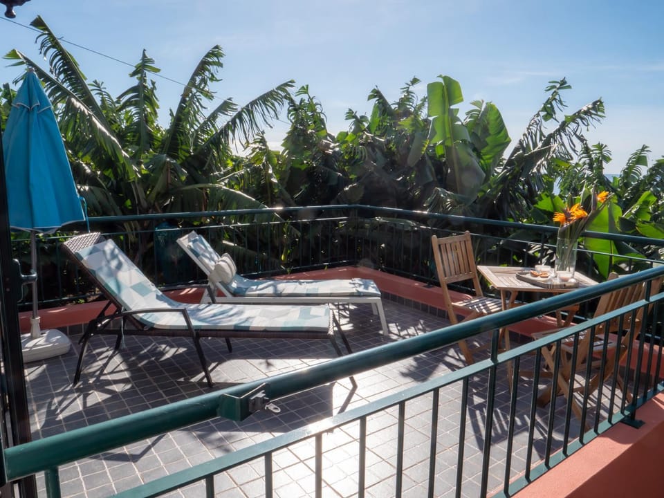 Balcony/Terrace, sunbed