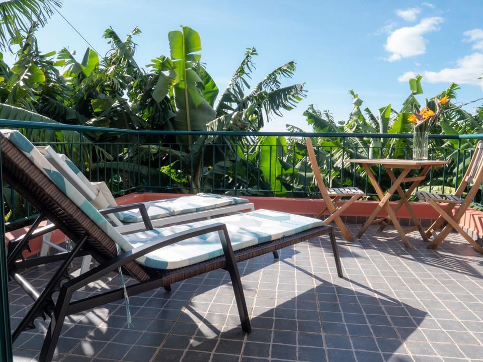 Balcony/Terrace, sunbed
