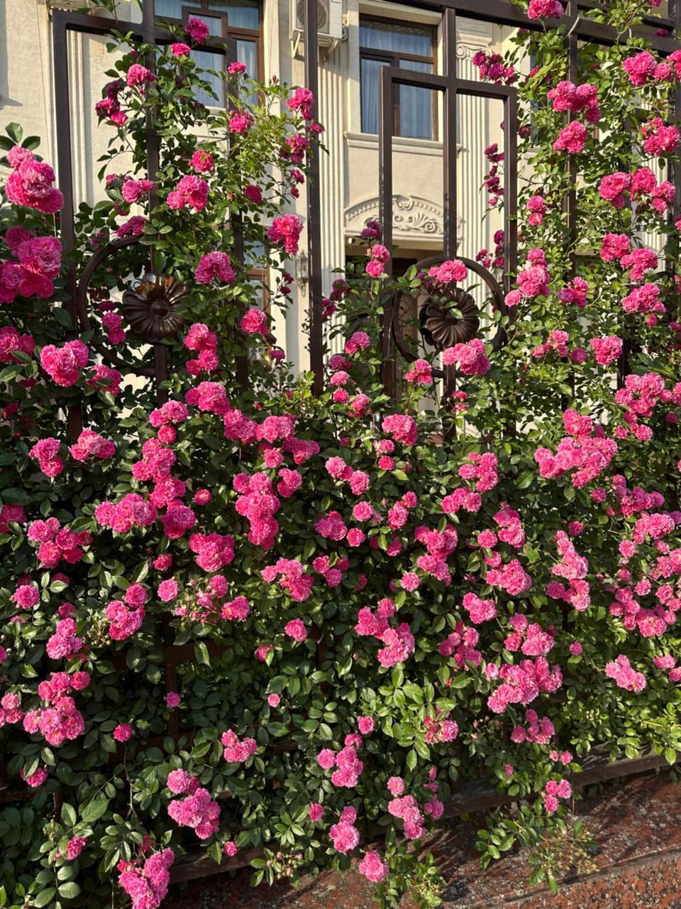 Garden, Garden view, Street view