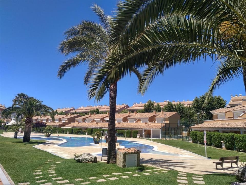 Pool view, Swimming pool