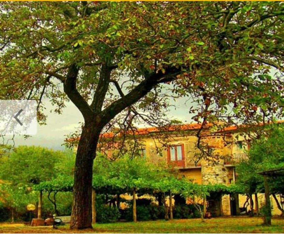 PietrAnticA Bed and Breakfast in Campania
