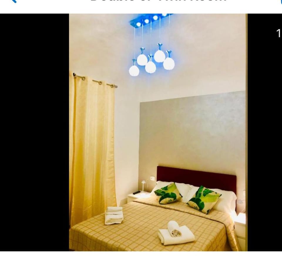 ABID'S PALACE IN TERMINI Bed and Breakfast in Rome