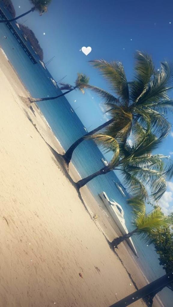Villa les Palmiers Villa in Les Trois-Îlets