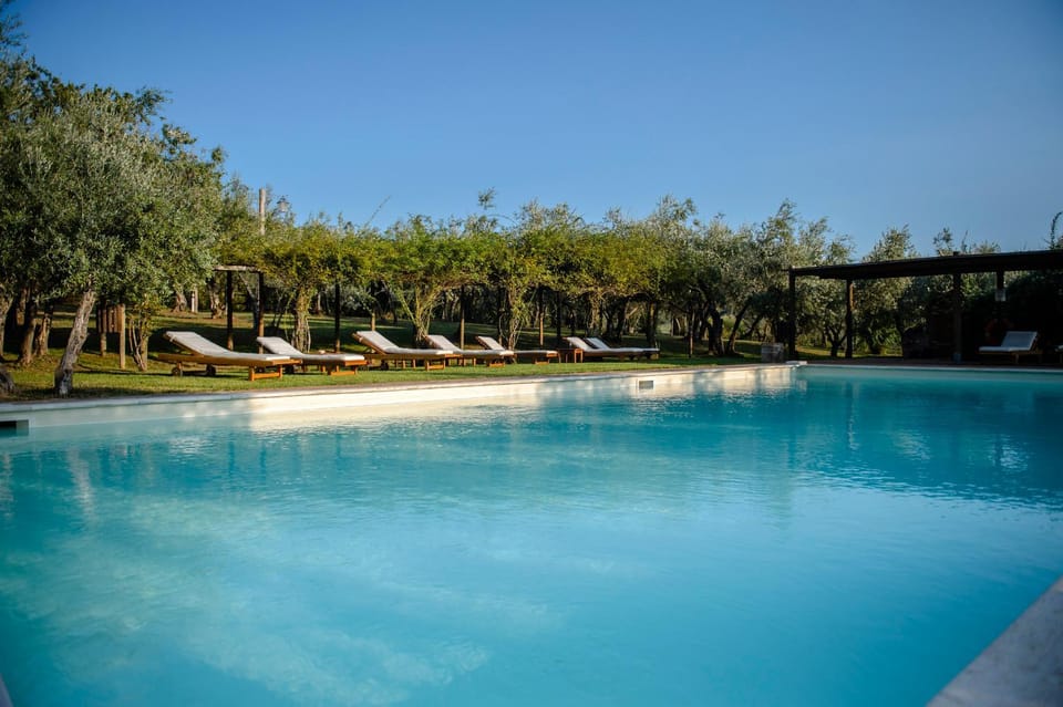 Day, Natural landscape, Pool view, Swimming pool, sunbed