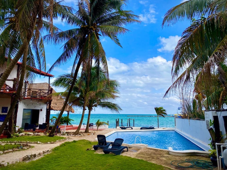 Pool view, Swimming pool