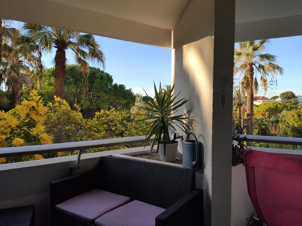 Balcony/Terrace, Garden view