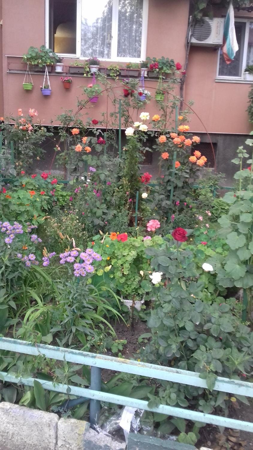 Facade/entrance, Garden view