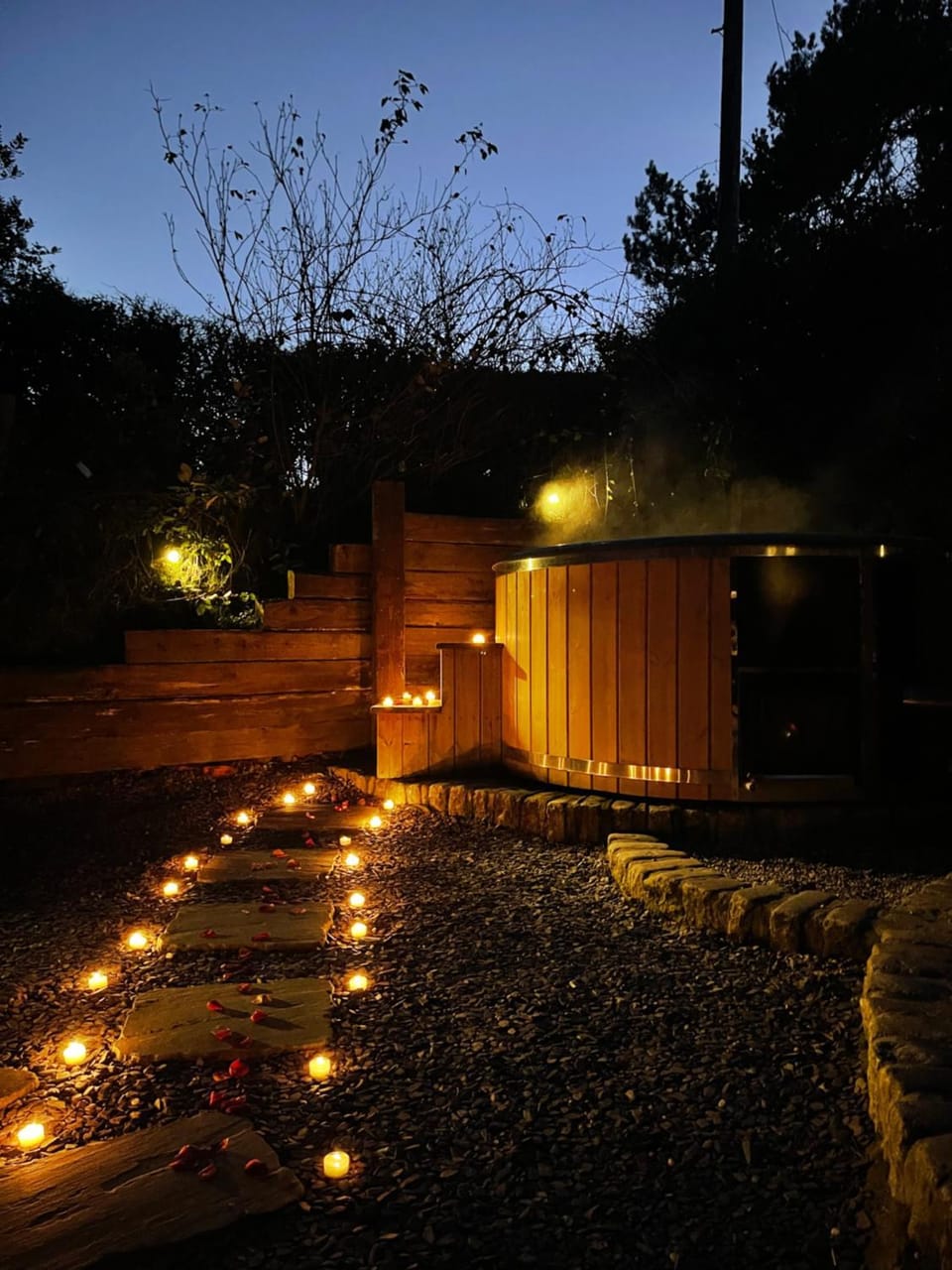 Night, Garden