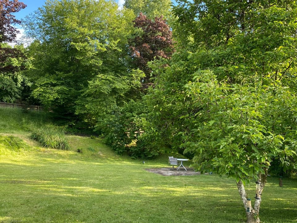 Balcony/Terrace, Seating area, Garden view