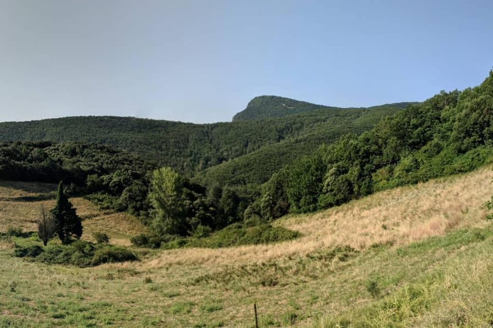 View (from property/room)