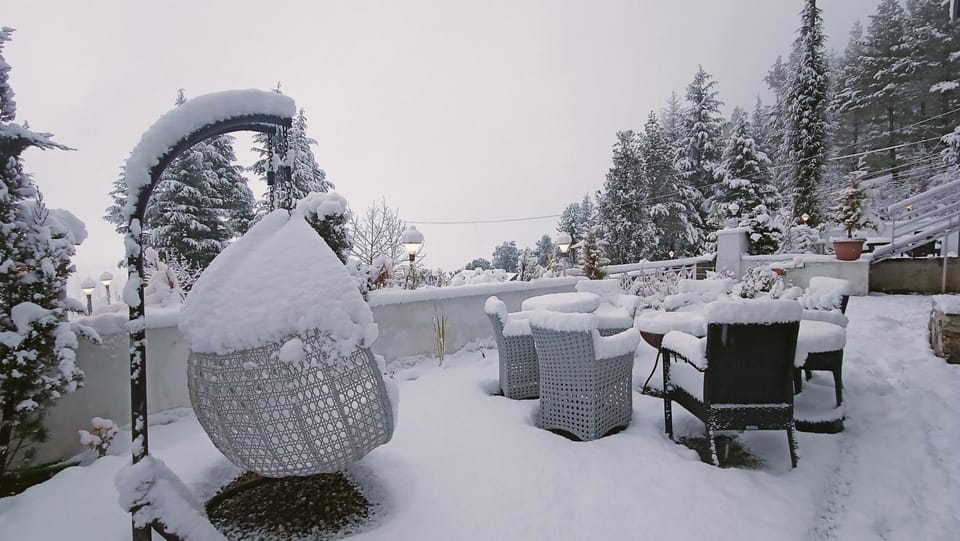Winter
