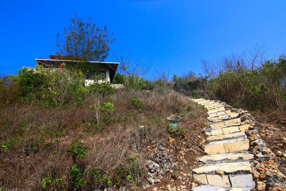 Property building, Garden, Hiking, Area and facilities