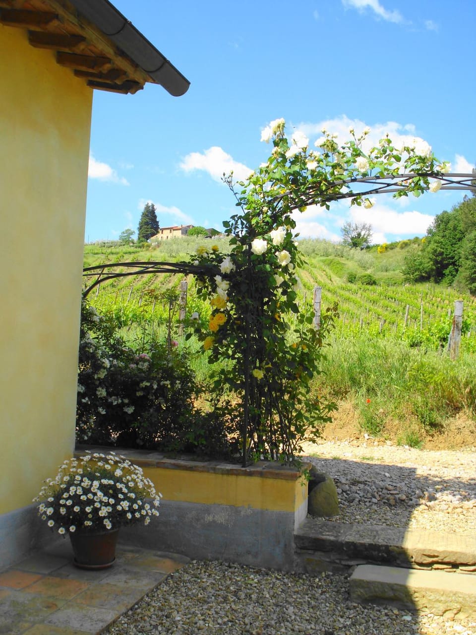 View (from property/room), Other