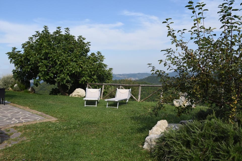 Natural landscape, Garden view, Mountain view, sunbed