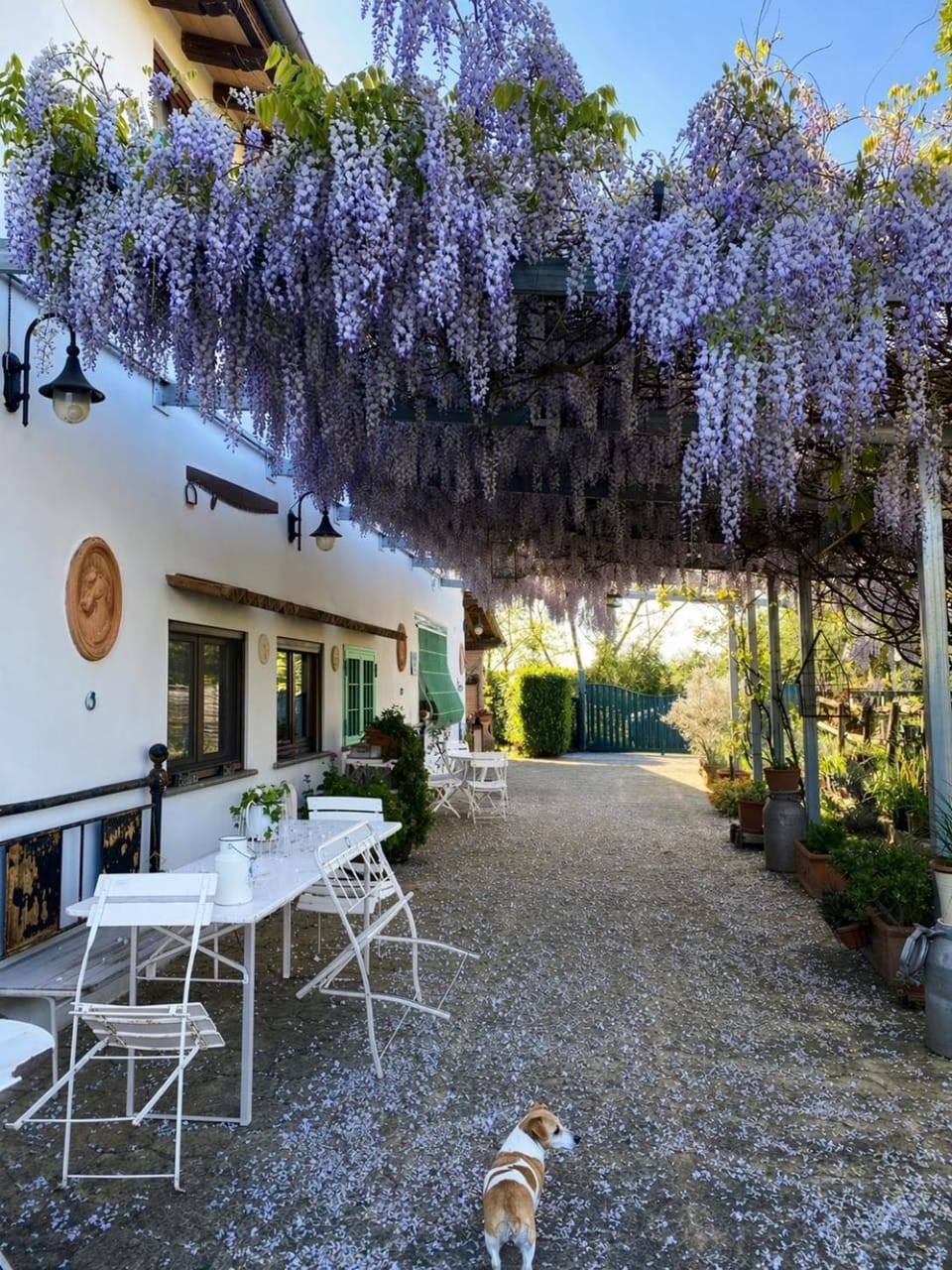 La Locanda Del Tevere Slow tourism near Rome Country House in Lazio