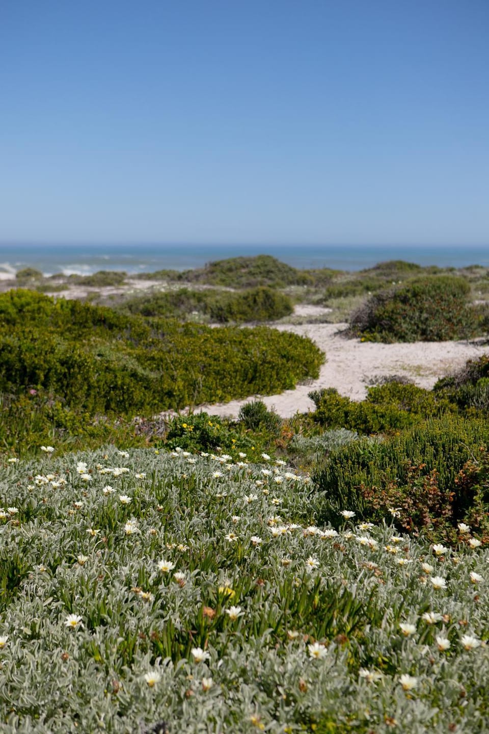 Natural landscape, Beach, Sea view