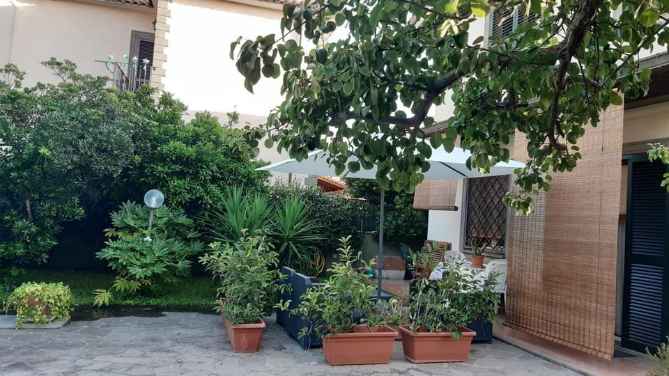 Property building, Spring, Day, Garden, Garden view