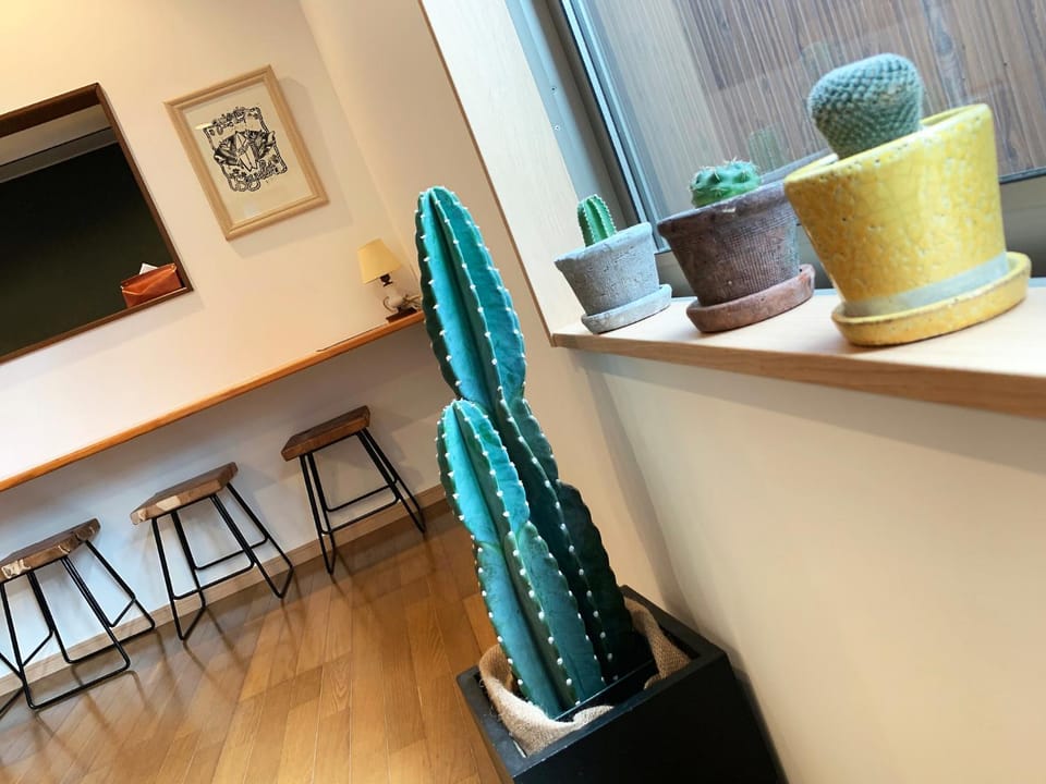 Cactus Inn / Vacation STAY 51554 Hotel in Japan