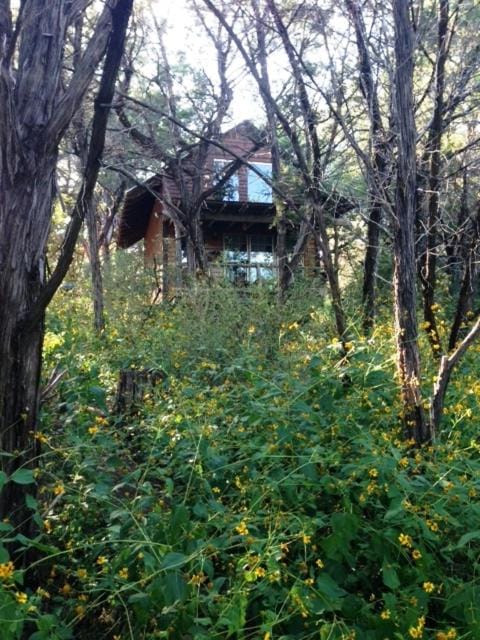 Property building, Natural landscape