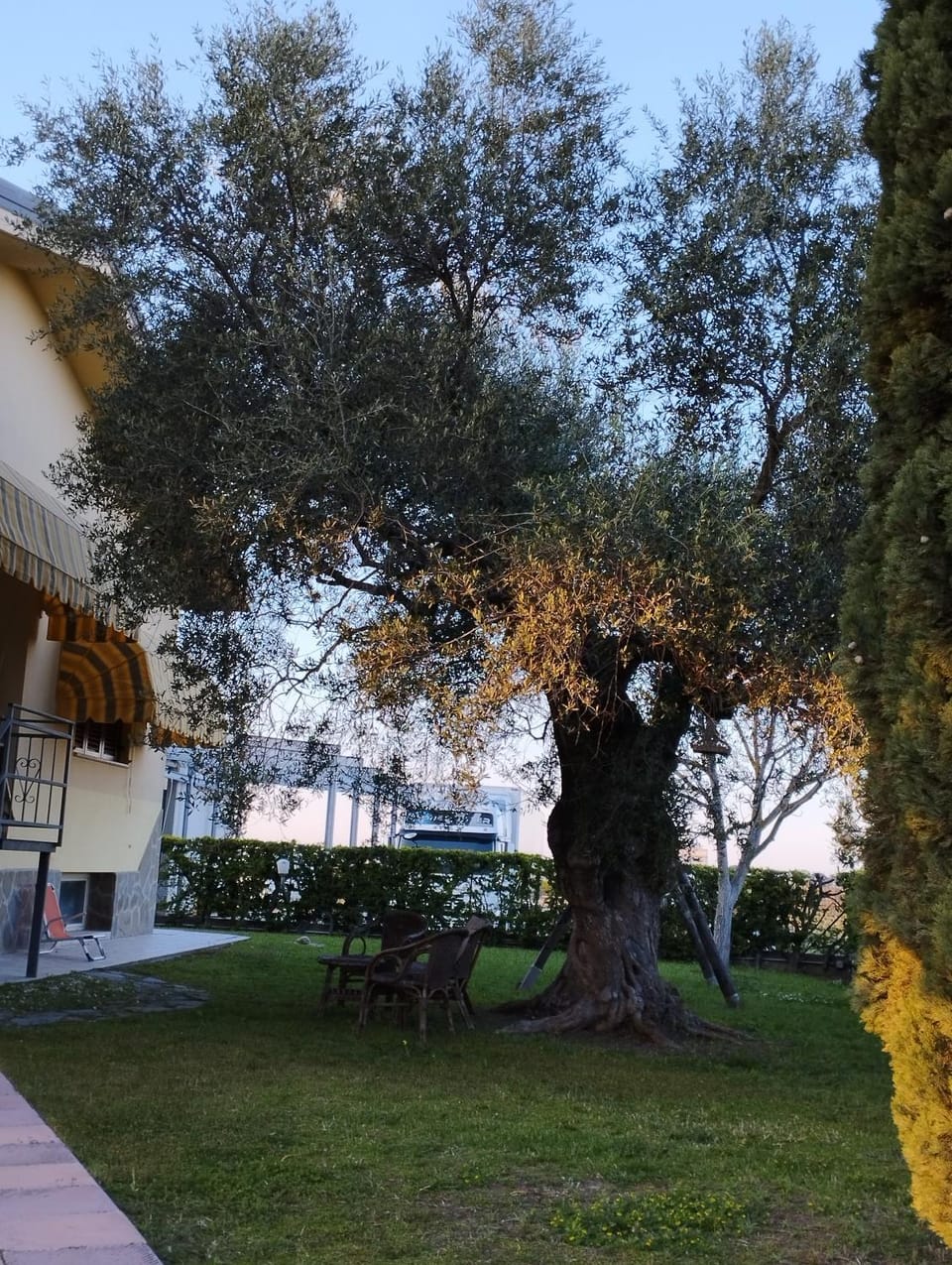 Garden view