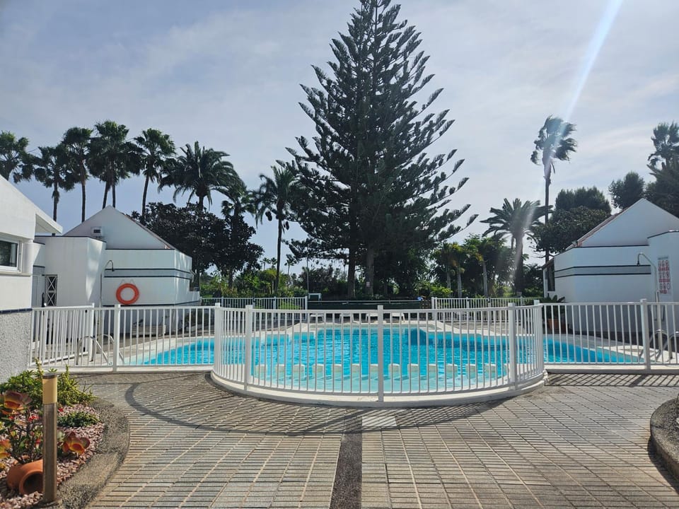 Day, Pool view, Swimming pool, sunbed