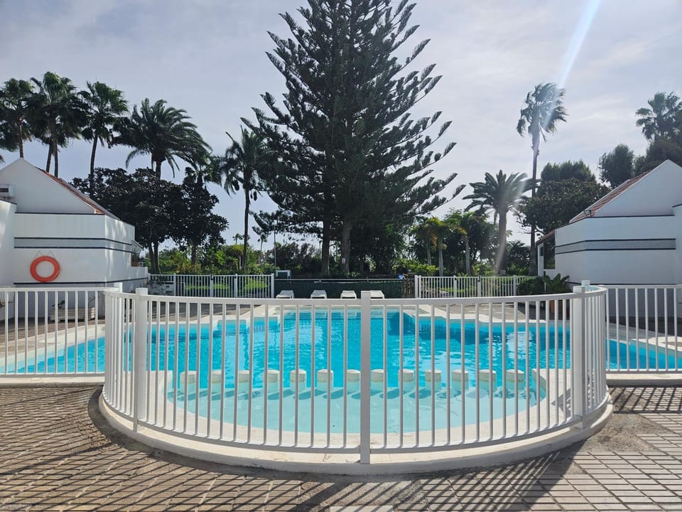 Day, Pool view, Swimming pool, sunbed