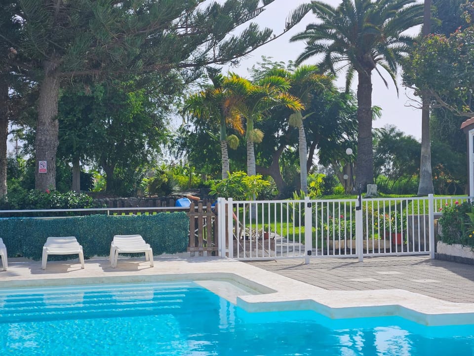 Spring, Day, Garden, Garden view, Pool view, Swimming pool, sunbed