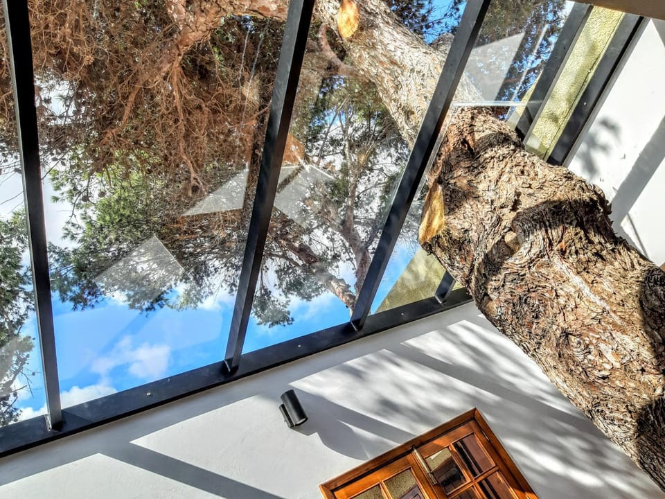 Beach Tree House House in Vila Baleira