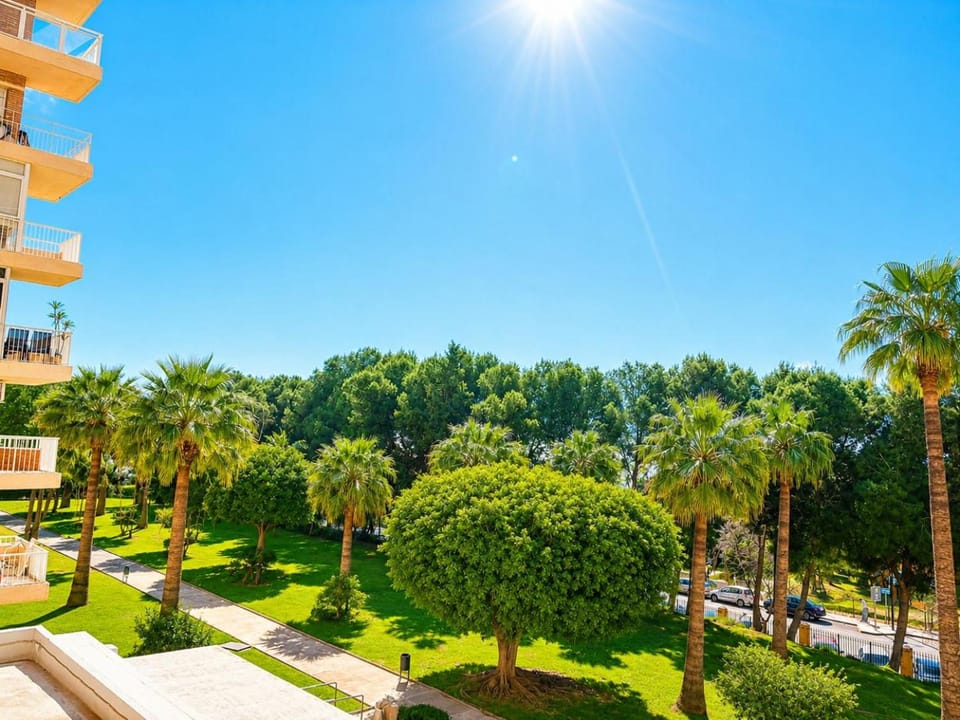 Garden view