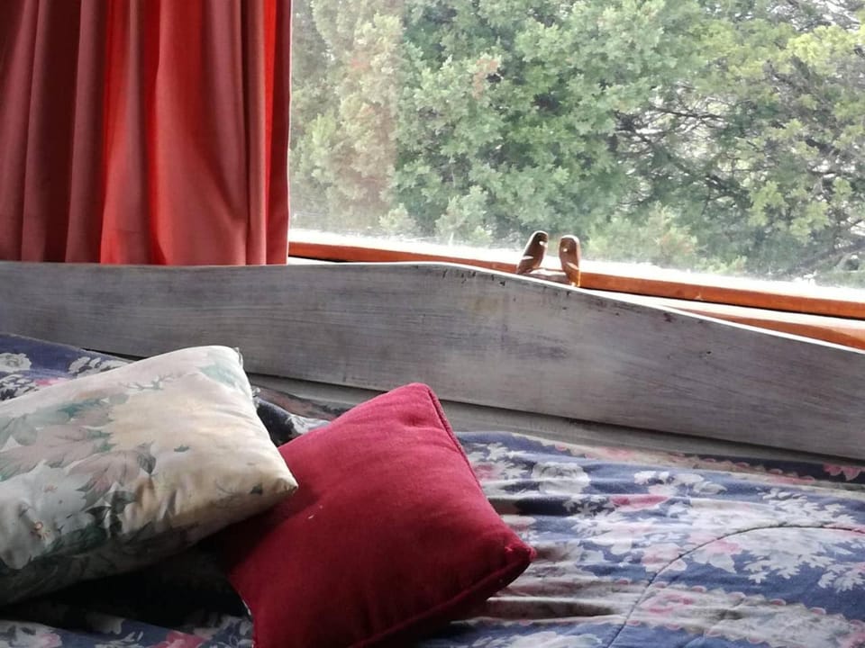 Bed, Bedroom, bunk bed