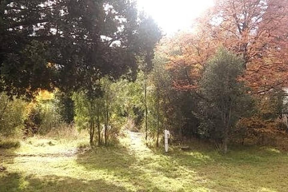 Natural landscape, Garden, Hiking, Garden view