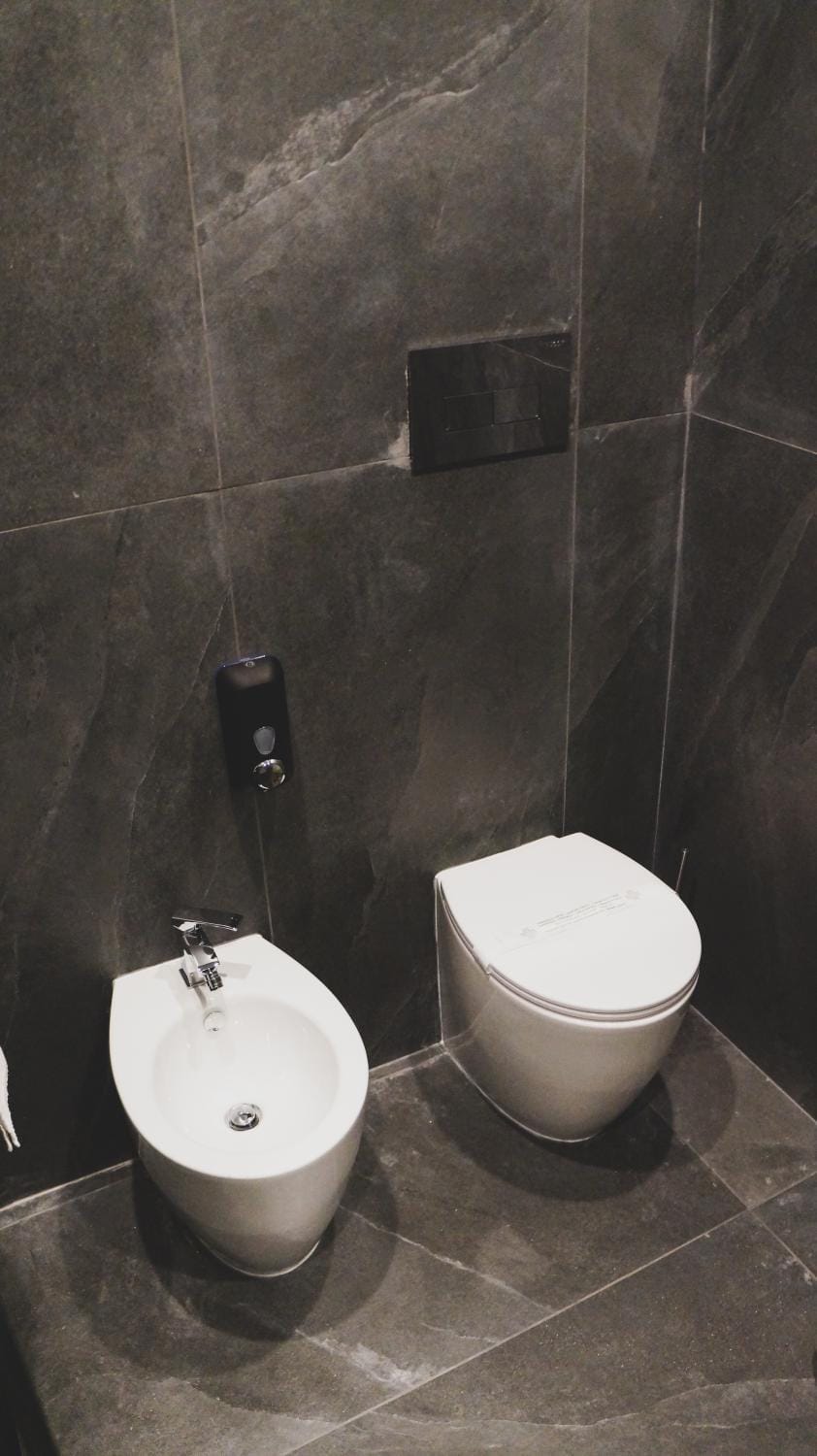 Toilet, Bathroom, bidet