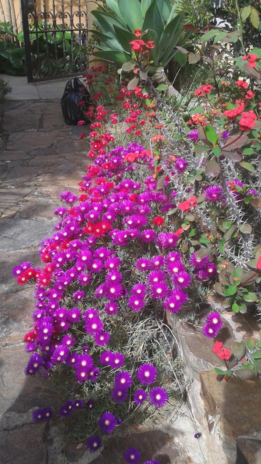 Spring