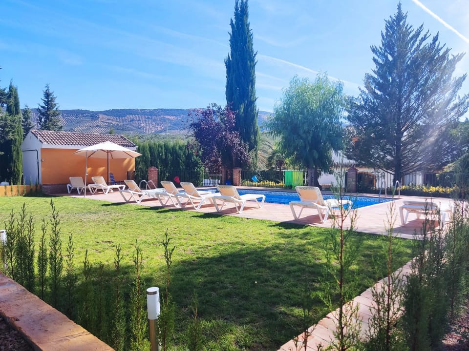 Swimming pool, Swimming pool