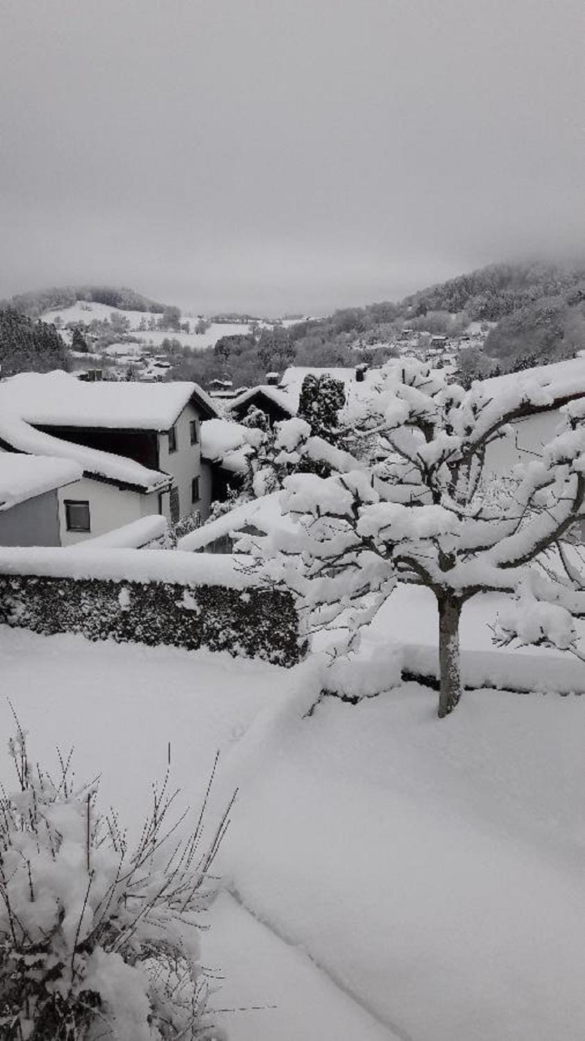 Garden, View (from property/room)