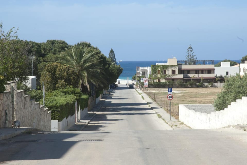 Bird's eye view, Street view