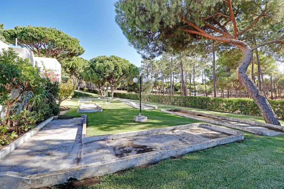 Patio, Garden, Garden view