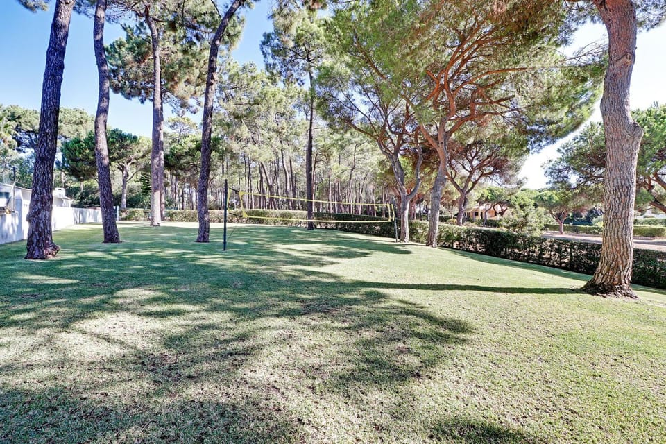 Patio, Garden, Garden view