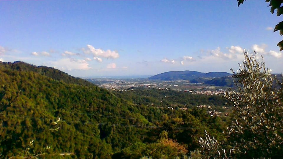 Nearby landmark, Neighbourhood, Natural landscape