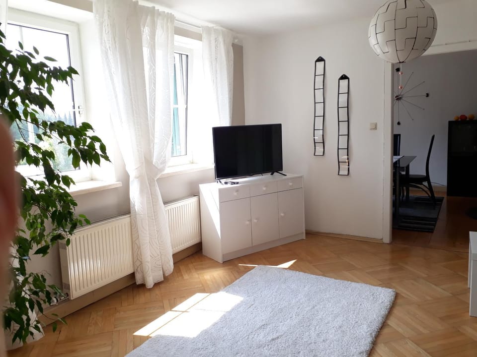 Day, Summer, TV and multimedia, Living room