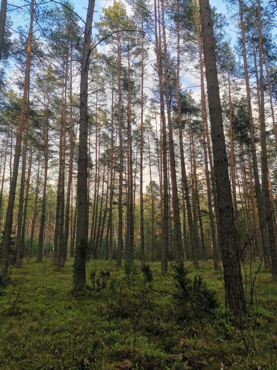 Spring, Off site, Natural landscape