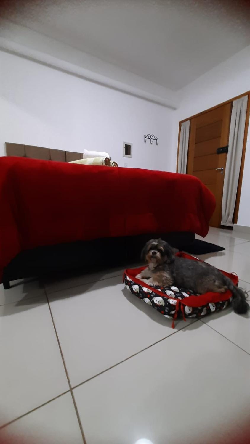 pet friendly