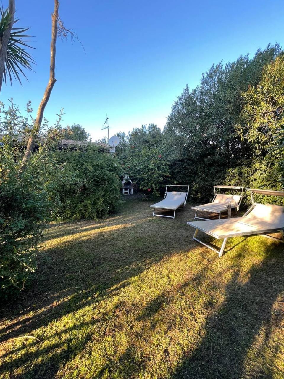 Day, Natural landscape, Garden, Garden view, sunbed